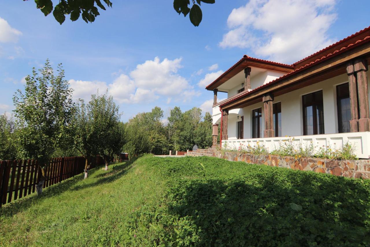 Pensiunea Emelys, Iasi Barnova Exterior foto