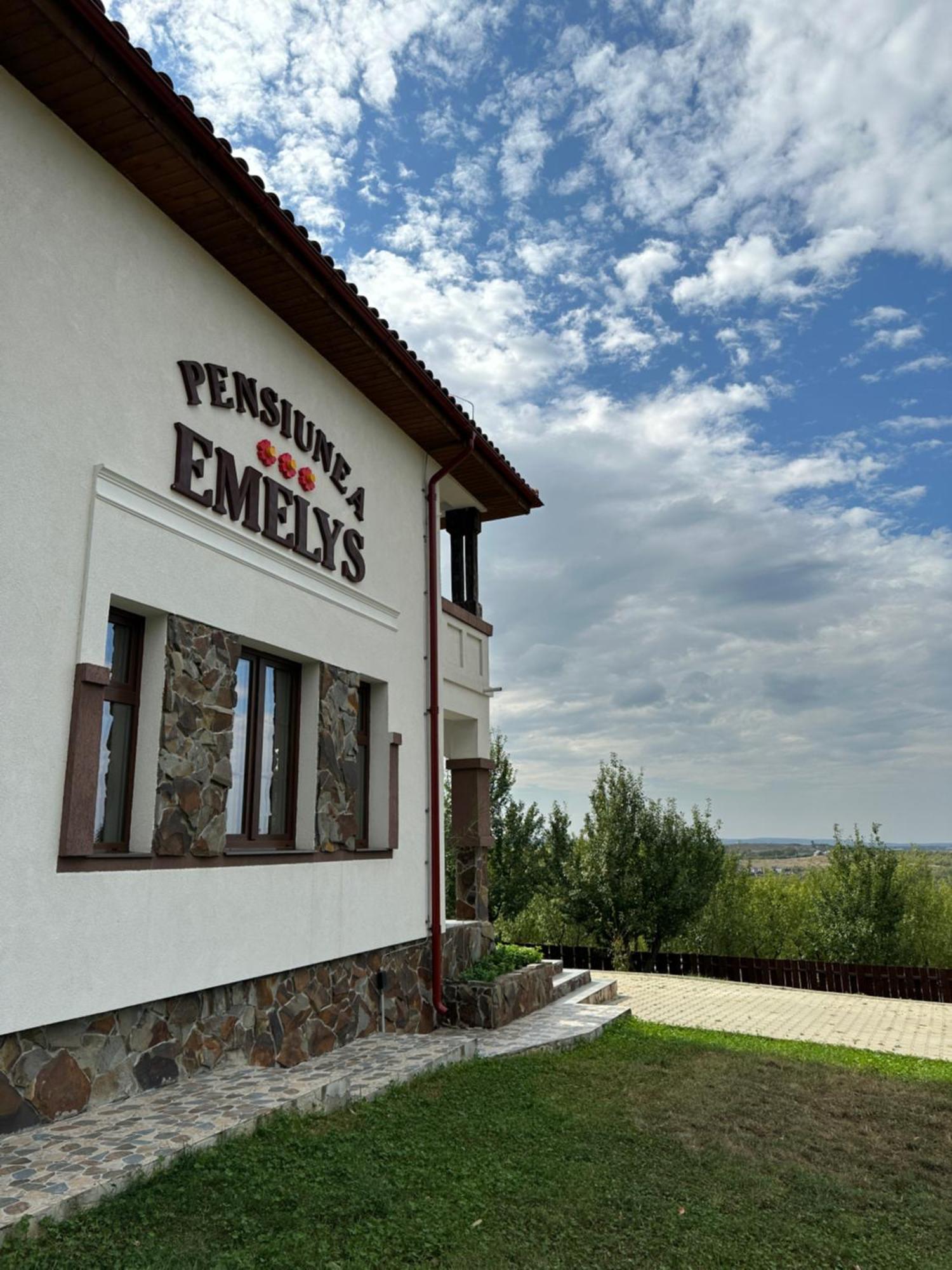 Pensiunea Emelys, Iasi Barnova Exterior foto